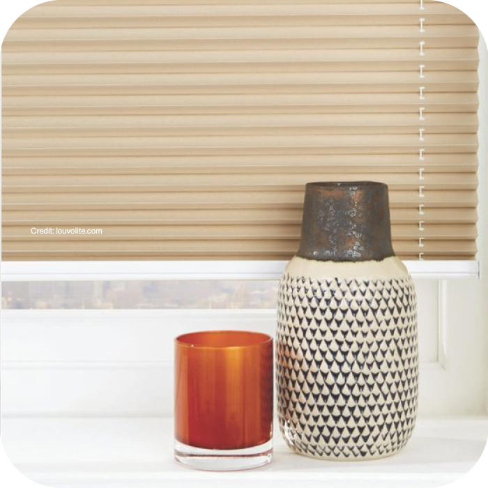 Cellular-Pleated-Blinds