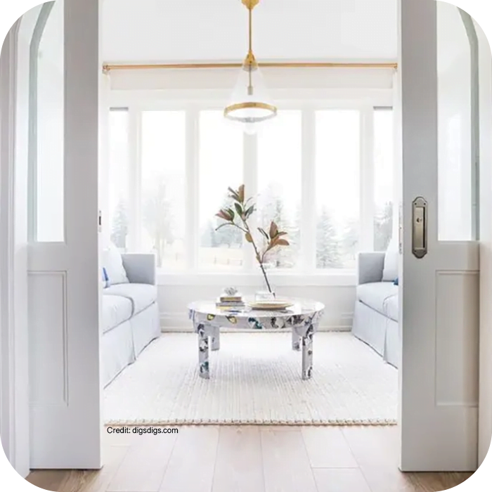 Pocket-Door